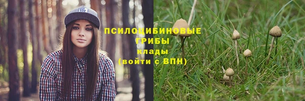 прущая мука Вязьма